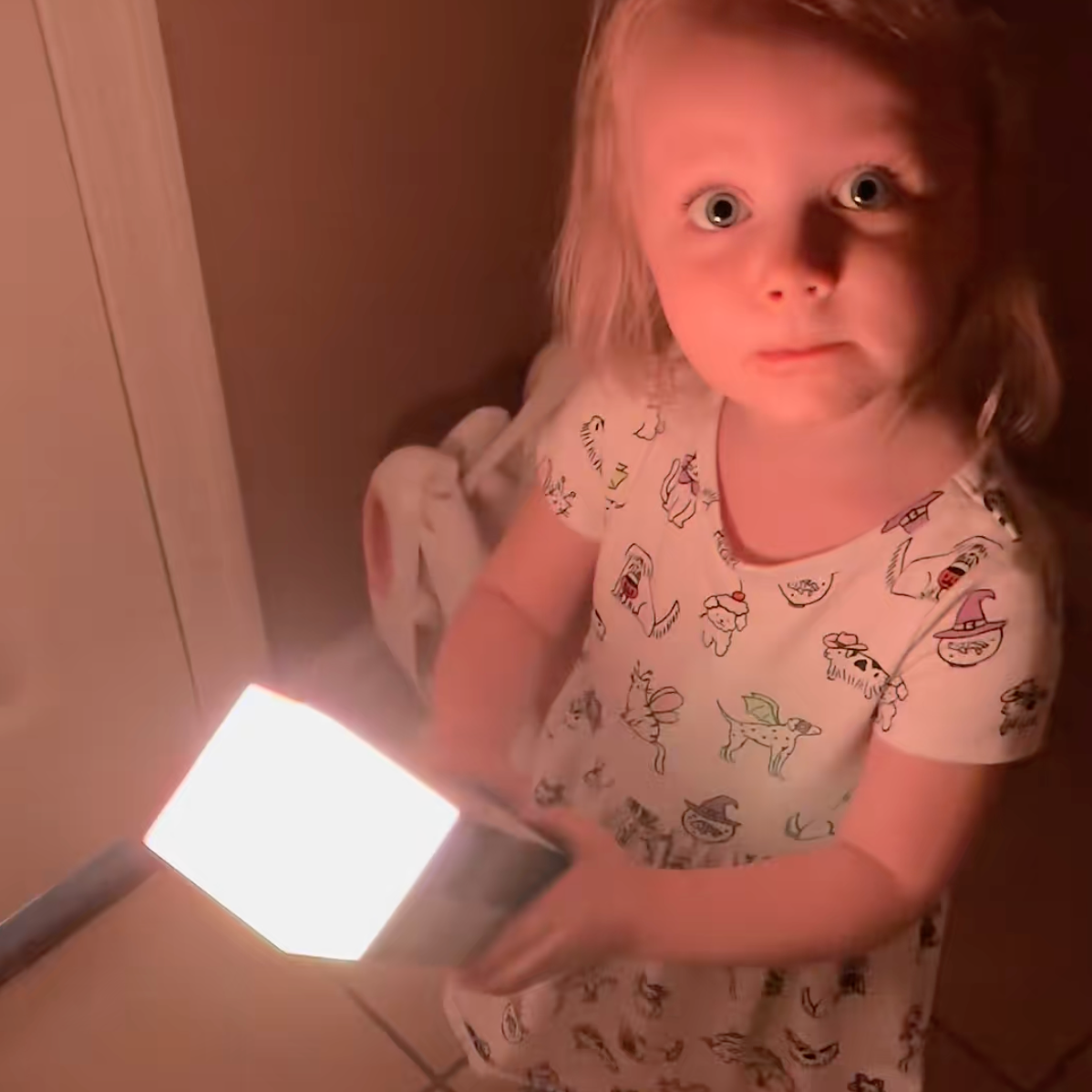 Pixel Torch - Minecraft fra skærmen til virkeligheden